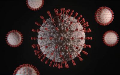 Medidas de Control Sanitario en Canarias. Providencia del Pleno del TC de 17 de diciembre de 2020.