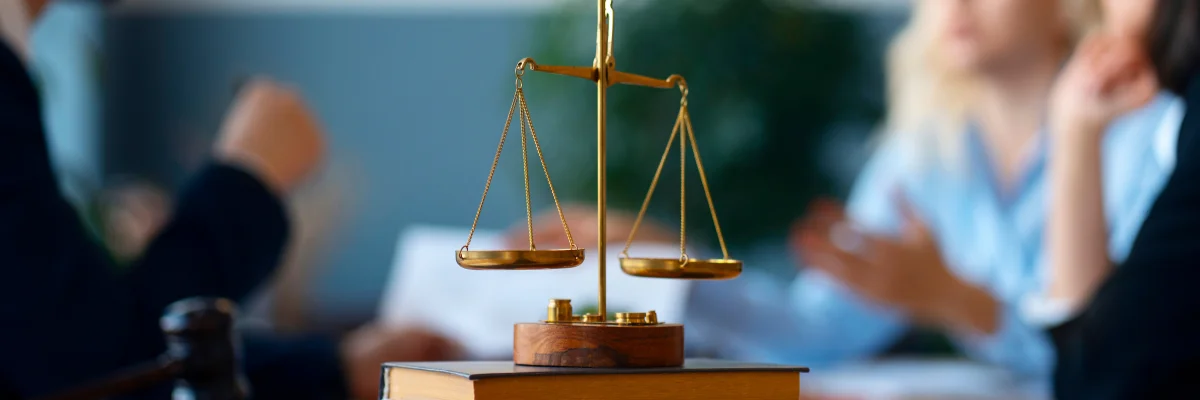 litigiosidad española